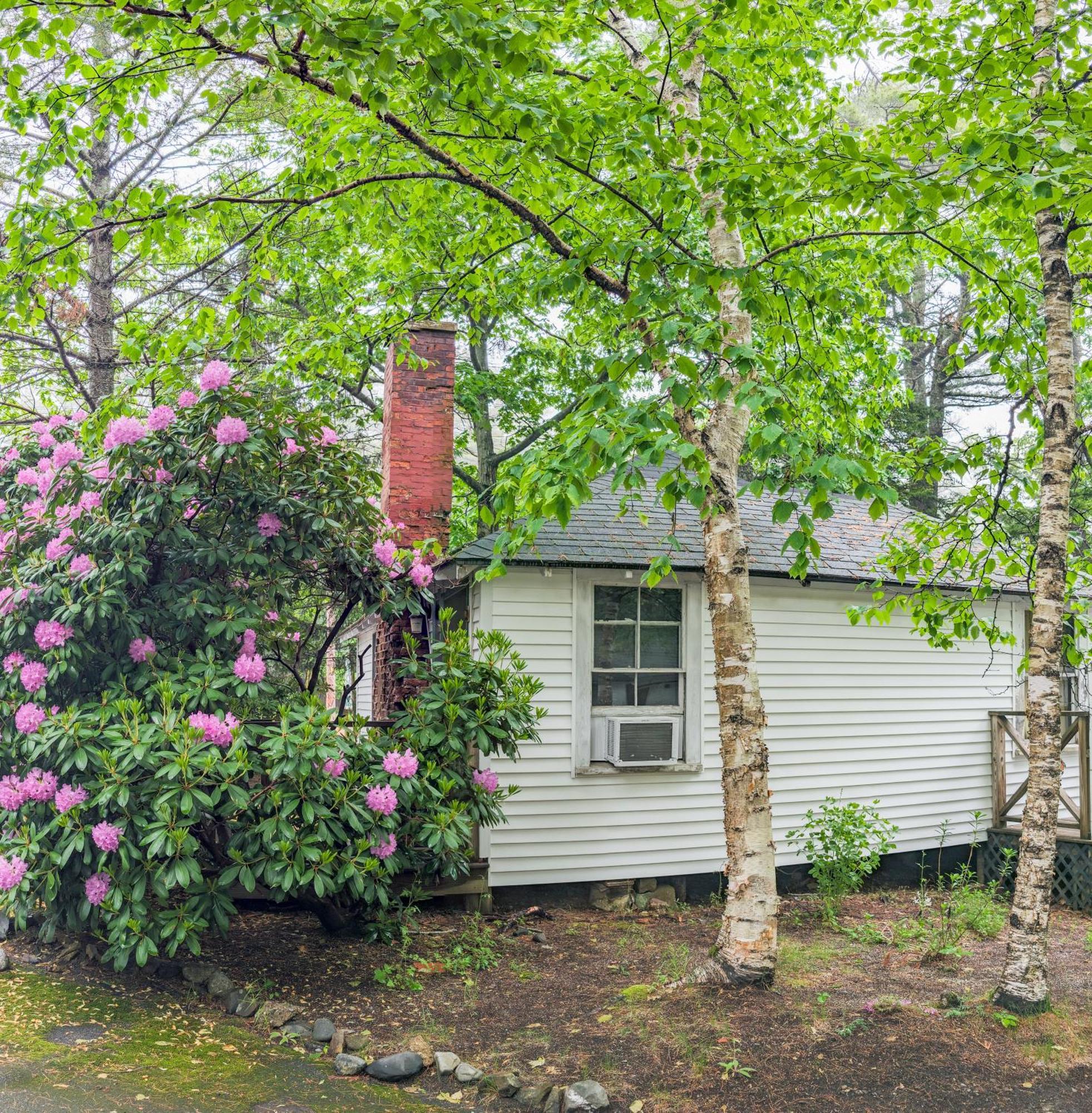 Hinckleys Dreamwood Cottages Bar Harbor Ngoại thất bức ảnh